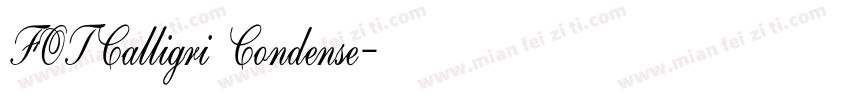 FOTCalligri Condense字体转换